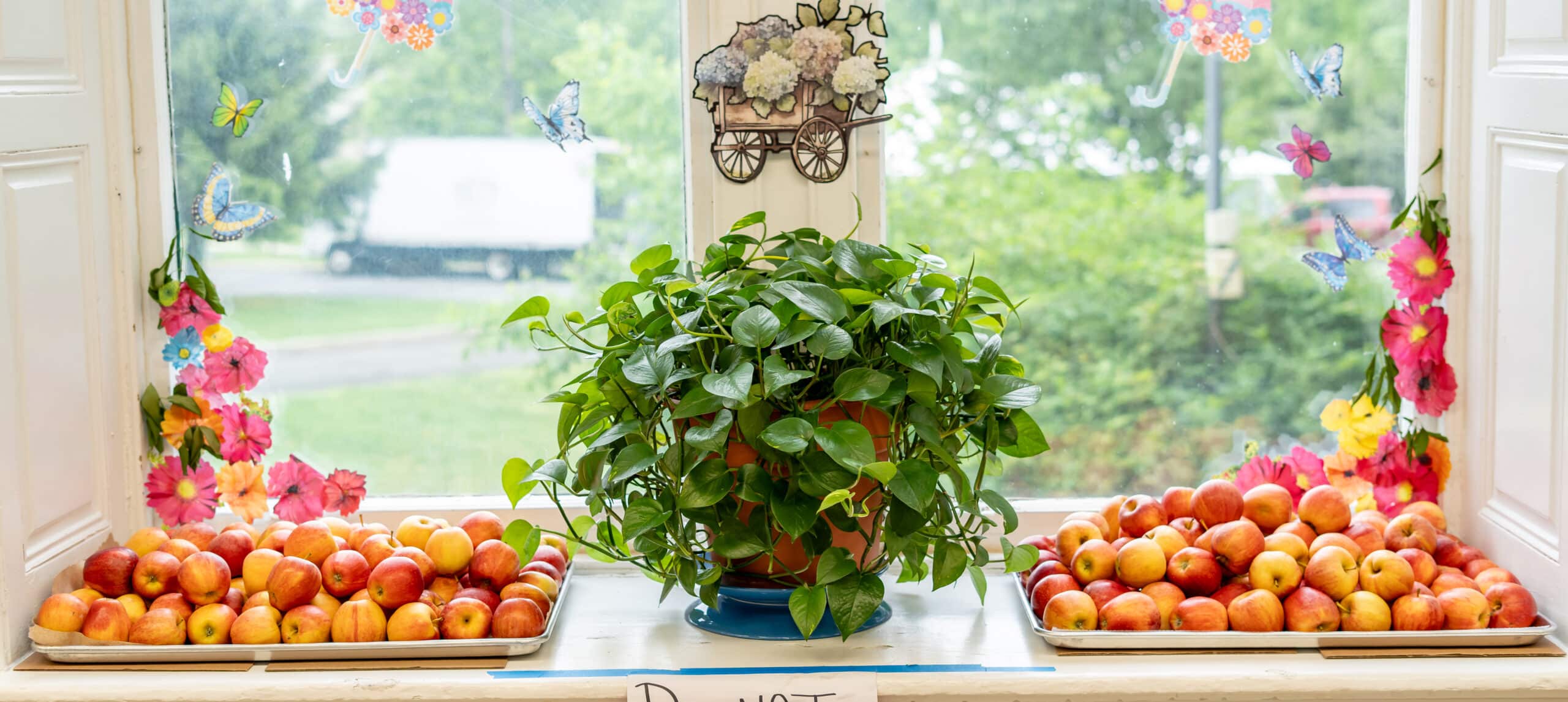 view of window sill